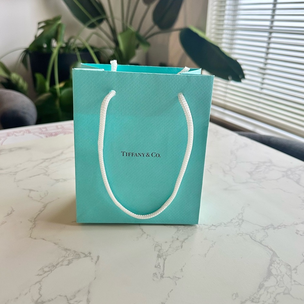 Tiffany & Co. Blue Gift Bag
